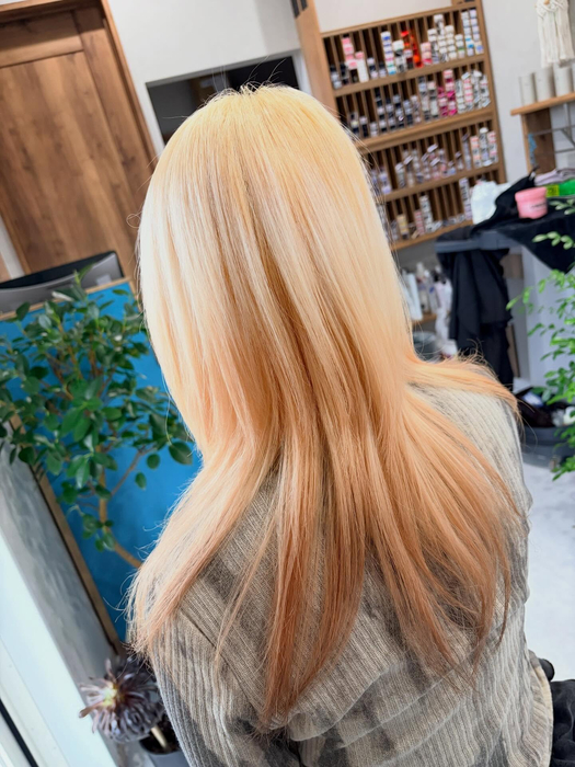 画像286